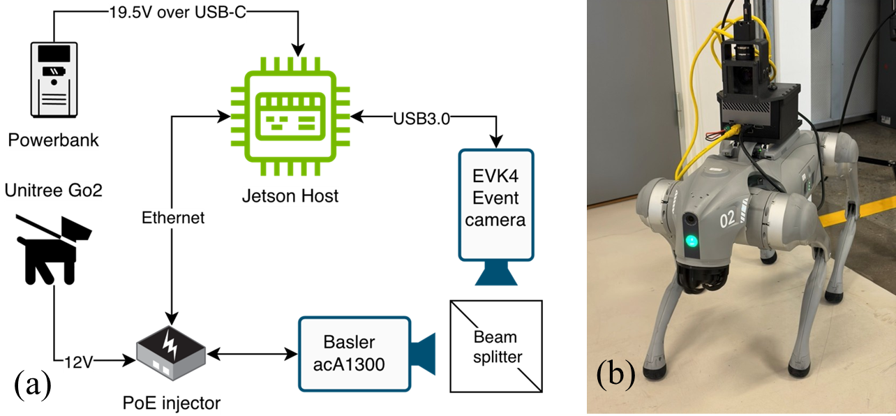 Multimodal RGB-event camera setup showing the Jetson host, EVK4 event camera, Basler camera, beam splitter, PoE injector, power bank, and Unitree Go2 robot.